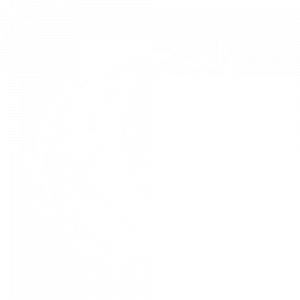 LUNA FASES